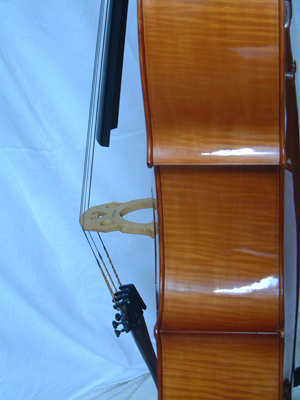 Cello ribs (click for larger image)