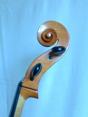 Cello scroll (click for larger image)