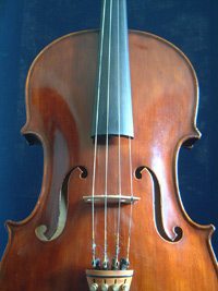 Viola front (click for larger image)
