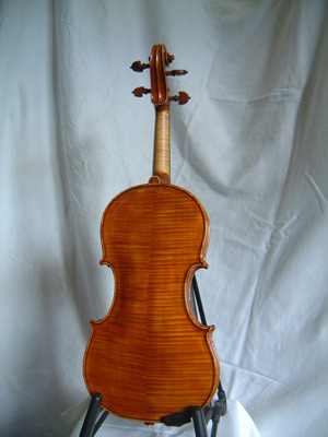 Violin back (click for larger image)